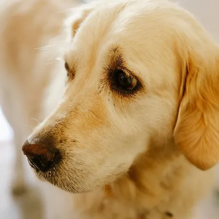 Apartment Casa Lodo Turin